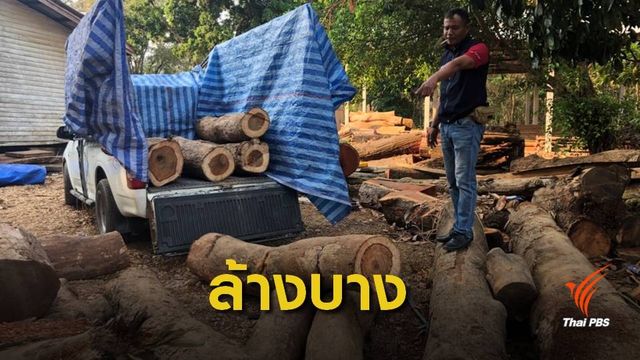 เปิดเบื้องหลัง !แกะรอย จนท.ป่าไม้เอี่ยวขบวนการค้าไม้พะยูง