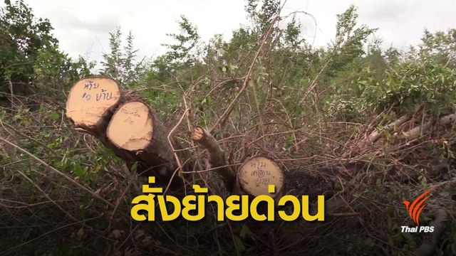 เด้งตำรวจจับเครื่องเลื่อยยนต์ตัดต้นไม้ช่วยผลกระทบ "ปาบึก" 