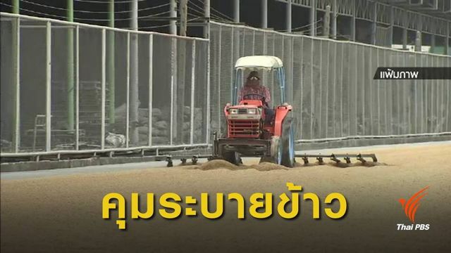 ป.ป.ช. ชงมาตรการคุมระบายข้าว หวั่นซ้ำรอยจีทูจีสมัยรัฐบาล “ยิ่งลักษณ์”