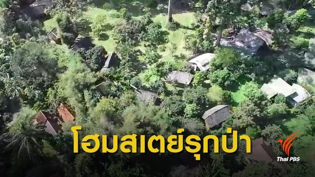 ผิดเงื่อนไข! มติครม. 30 มิ.ย.41 รีสอร์ต-โฮมสเตย์กลางป่าเชียงดาว 