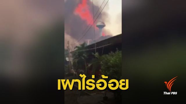 ชาวเน็ตวิจารณ์คลิปเผาไร่อ้อยใกล้โรงเรียน "ครู-นักเรียน" วิ่งหนีวุ่น
