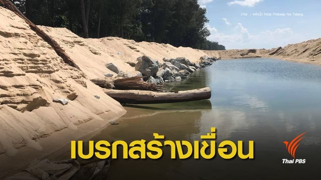 ทช.งัดกฎหมาย ม.17 เบรกเขื่อนกั้นคลื่นกระทบไข่เต่ามะเฟือง
