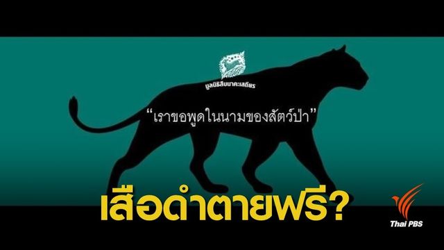 เสือดำ : "ศศิน" วิเคราะห์รูปคดี 1 ปีเสือดำตัดสิน 19 มี.ค.นี้ 