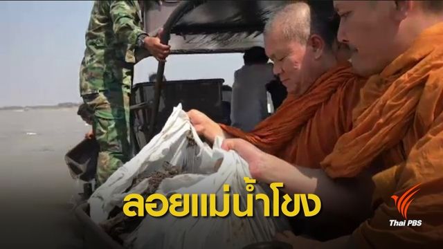 ม.ขอนแก่น นำเถ้าถ่านนกหัสดีลิงค์ ลอยแม่น้ำโขง
