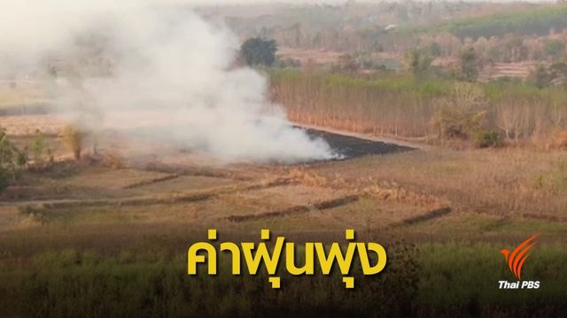 เผาไร่อ้อย-ตอซังข้าว ทำค่าฝุ่นภาคอีสานสูงเกินมาตรฐาน