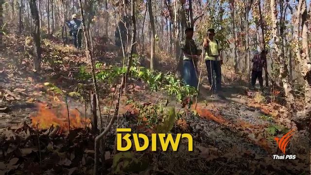 ทดสอบ “โดรน” ชิงเผาเชื้อเพลิงตัดวงจรไฟป่า