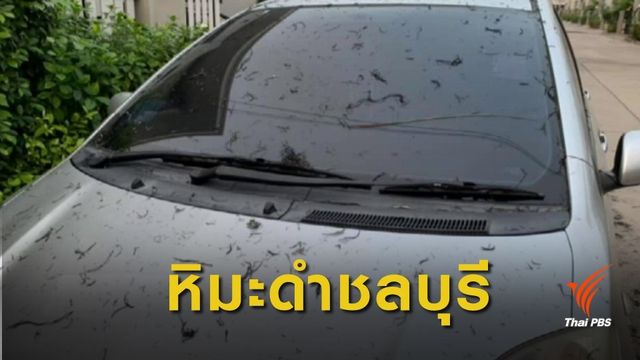 ชาวบ้านศรีราชาเดือดร้อนหนัก เศษฝุ่นเผาหญ้าปลิวว่อนเต็มหมู่บ้าน