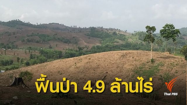 ครั้งแรก ! ทวงคืนป่าเสื่อมโทรม 4.9 ล้านไร่เตรียมฟื้นฟู