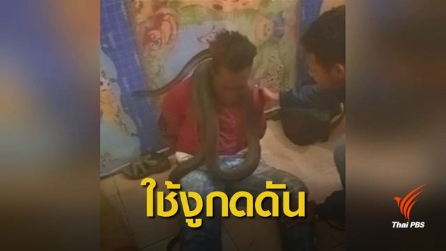 ตำรวจอินโดนีเซียขอโทษใช้ "งู" เค้นความจริงผู้ต้องสงสัย 