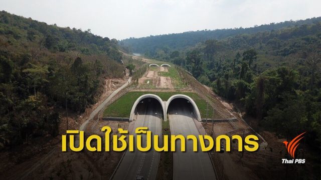 ดีเดย์! เปิดอุโมงค์เชื่อมผืนป่าเขาใหญ่- ทับลาน 