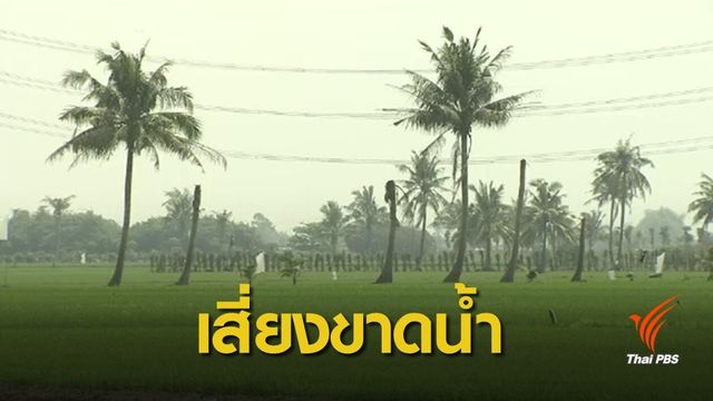 กรมชลฯ เตือนห้ามทำนาปรังรอบ 3 ฤดูแล้งนานน้ำไม่พอ