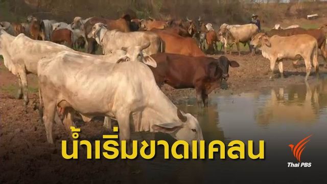 เขื่อนกระเสียว จ.สุพรรณบุรี น้ำเหลือ 22 % เกษตรกรเริ่มเดือดร้อน