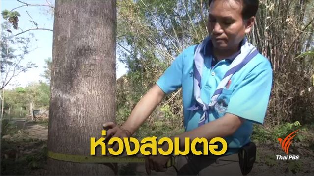  ป้องกันสวมตอไม้ ! หลังปลดล็อกปลูกไม้หวงห้ามที่ดินกรรมสิทธิ์ 