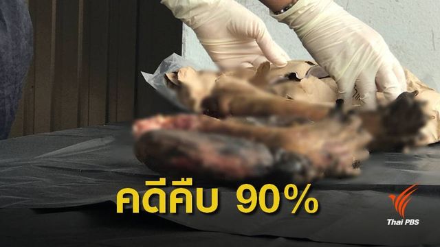 สำนวนคดี "ปลัดหมีขอ" คืบหน้า 90% เตรียมส่งอัยการฟ้อง 