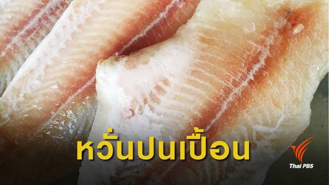อย.สั่งตรวจเข้มนำเข้า "ปลาดอร์ลี่" หลังผลวิจัยชี้ปนเปื้อนสารเคมีสูง