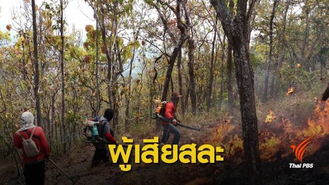 พนักงานดับไฟป่าเสียชีวิต-พลัดตกเขาบาดเจ็บ 1 คน
