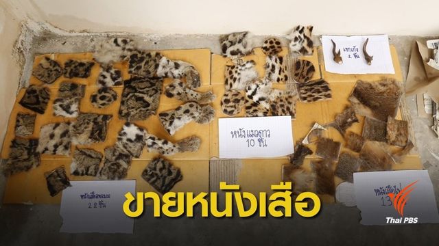 ยึดหนังเสือขายผ่านออนไลน์ทำ "เครื่องรางของขลัง"