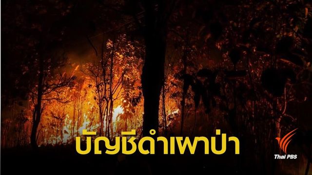 ฝุ่น PM2.5 : "กรมป่าไม้" เล็งแบล็กลิสต์ 20 หมู่บ้าน 9 จว.เหนือจุดไฟป่า