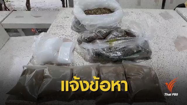 เตรียมแจ้งข้อหา ปธ.มูลนิธิข้าวขวัญ ผลิต-ครอบครองกัญชา 