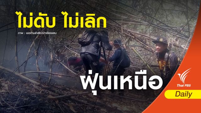 "8 ชีวิต สู้ไฟป่า 5 พันไร่" เจ้าหน้าที่เขตห้ามล่าสัตว์ป่าเชียงแสน