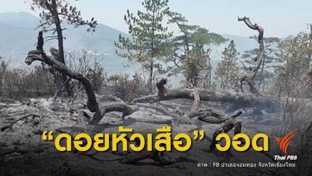 ไฟไหม้ป่ายอดดอยหัวเสือ อุทยานแห่งชาติดอยอินทนนท์ 