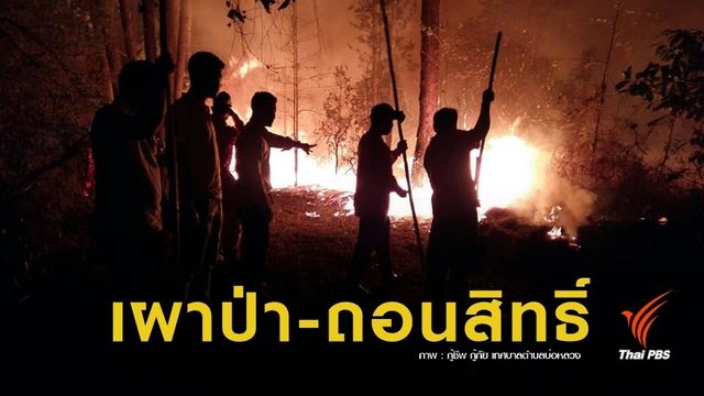 ฝุ่น PM2.5 : ส่ง จนท.100 ชุด จับคนเผาป่า พบผิดตัดสิทธิ์ใช้พื้นที่