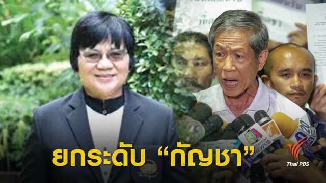 เภสัชกร เตรียมจับมือ “เดชา” พัฒนาสารสกัดกัญชาทางการแพทย์