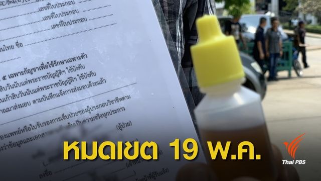 อย.เตือนแจ้งครอบครองกัญชารักษาโรคขีดเส้นแค่ 19 พ.ค.นี้ 
