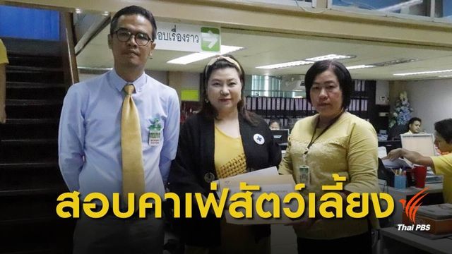 ร้อง "กรมปศุสัตว์-กทม." ตรวจสอบคาเฟ่แมว-สัตว์เลี้ยง 