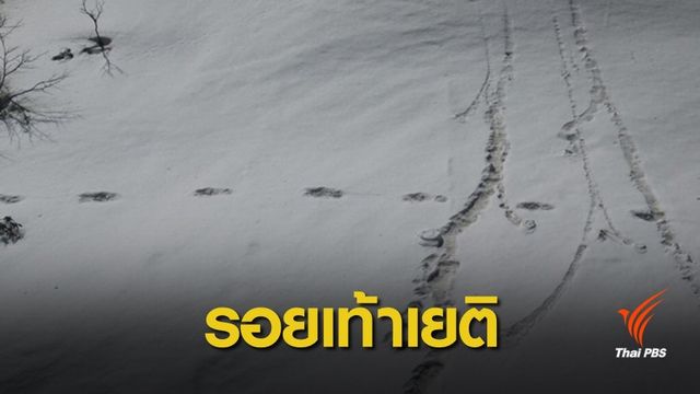 ปริศนา ! นักปีนเขาอ้างเจอ "รอยเท้าเยติ" ในเนปาล