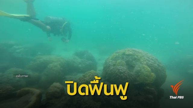 วันแรก ! ปิดดำน้ำรอบเกาะแสมสาร -การท่องเที่ยวซบเซา 