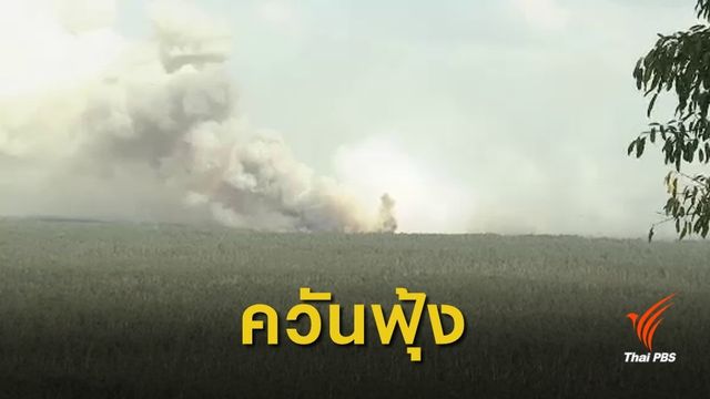 ไฟไหม้ป่าพรุควนเคร็ง จ.นครศรีธรรมราช