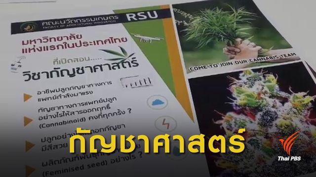 ม.รังสิต เปิดสอน "วิชากัญชาศาสตร์" นำความรู้ใช้ทางการแพทย์ 