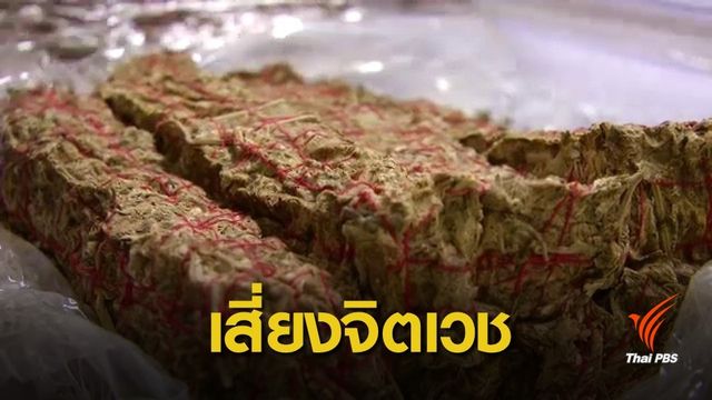 สูบกัญชาเสี่ยงโรคจิตเวชสูงร้อยละ 72.3 