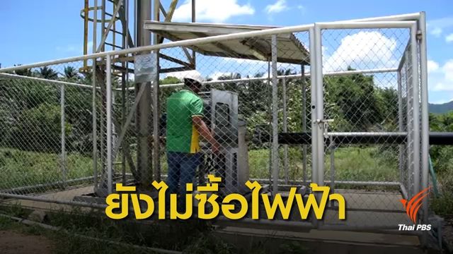 โรงงานผลิตน้ำมันปาล์ม หวัง กฟภ.รับซื้อกระแสไฟฟ้า