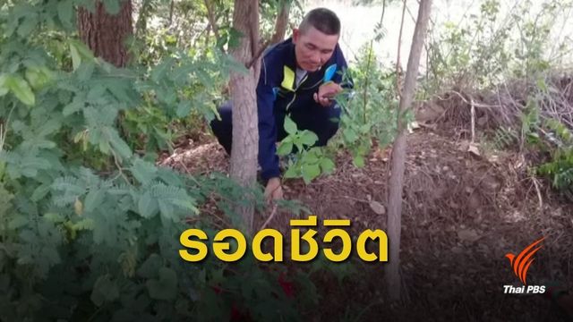 พบทารกแรกเกิดถูกฝังดินกลางทุ่งนา 