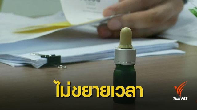 ไม่ขยายเวลา! 4 โมงครึ่งเย็นนี้ โค้งสุดท้ายนิรโทษกรรมกัญชา 
