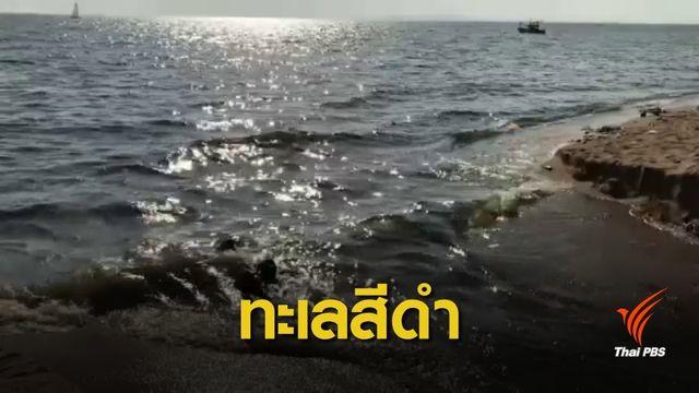 ตามหาต้นตอ “ทะเลสีดำ” หาดจอมเทียน 