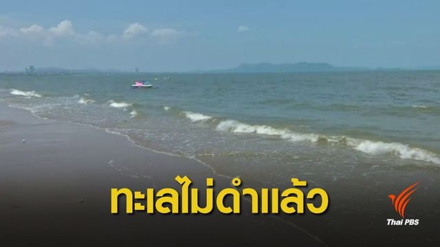 "หาดจอมเทียน" เปิดเล่นน้ำปกติ เดินหน้าหาแนวทางบำบัดน้ำเสีย