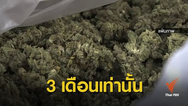 อย.ให้ผู้ป่วยครอบครองกัญชาได้อีก 3 เดือน หลังแจ้งนิรโทษ