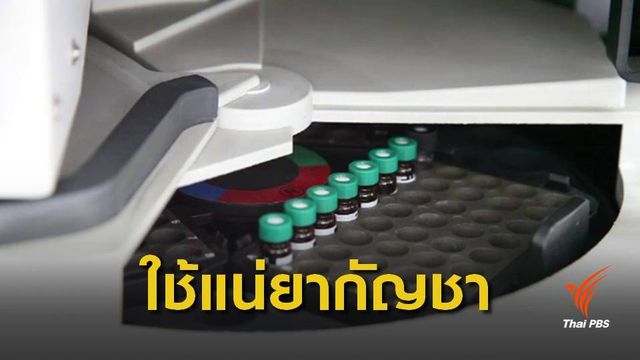 ม.ค.ปี 62 ผลิตน้ำมันกัญชาหยดใต้ลิ้นล็อตแรก 4 พันขวด 
