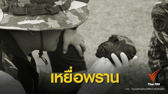 ล้อมจับกะเหรี่ยง KNU ลักลอบล่าหมีขอ-ลิงลมเขตป่าไทรโยค