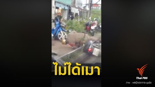 ตร.แจงคลิป "ตำรวจรถล้ม" ยันไม่ได้เมาแต่น้ำในหูไม่เท่ากัน