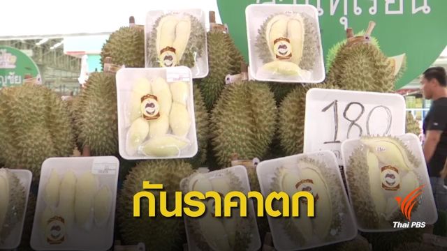 ก.เกษตรฯ เเนะชาวสวนปลูกทุเรียนคุณภาพ กันราคาตก