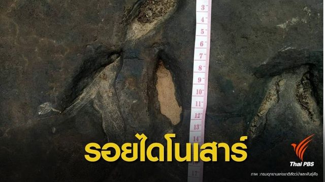 เจอรอยเท้า "เทอโรพอต"ไดโนเสาร์อายุ 140 ล้านปีบนภูผาเหล็ก 