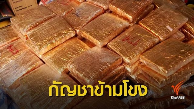 5 เดือนกัญชาข้ามโขงทะลักไทยกว่า 4 ตัน