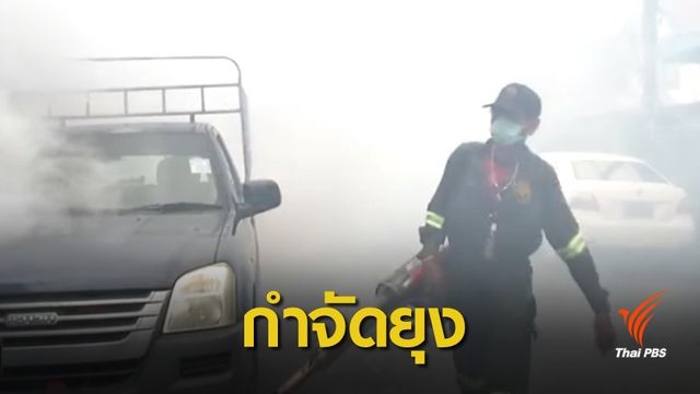 ครู-เด็กสิงคโปร์ 14 คนป่วยโรคชิคุนกุนยาในไทย