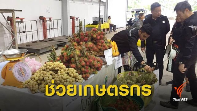 เปิดตลาดอุตสาหกรรมไมซ์ เที่ยวชมวิถีชาวสวนกระจายรายได้ในพื้นที่