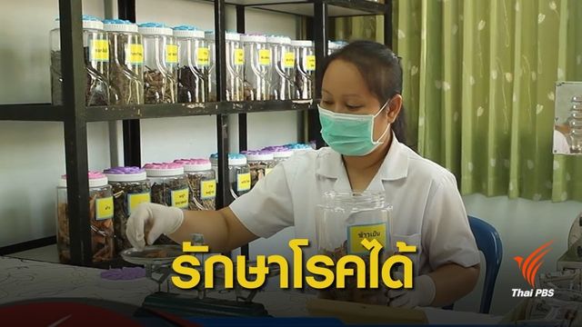 เริ่มใช้! ใบอนุญาต "หมอพื้นบ้าน" รักษาโรคภูมิปัญญาแพทย์แผนไทย