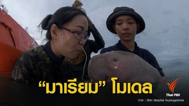 "มาเรียม"  ตำราเล่มใหม่ "คนเลี้ยงพะยูน"